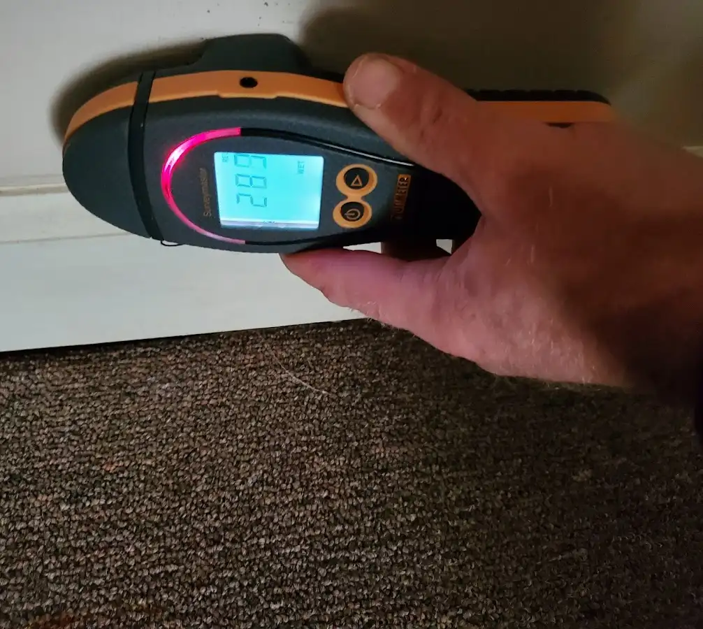 Moisture detection at baseboard during Sewage Cleanup & Sanitation in Bristol